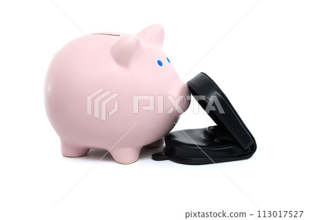 Piggy bank alongside a black wallet isolated on white 113017527