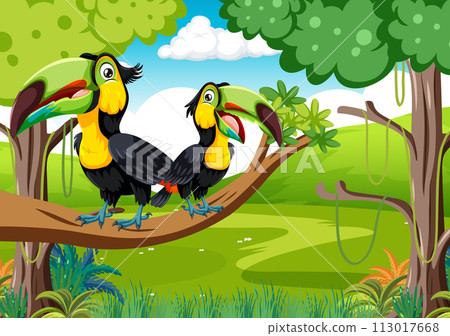 Tropical Toucans on a Jungle Branch 113017668