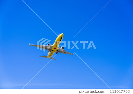 《飛機》波音 737NG > 737-800 (皮卡丘 Jet BC 1) 113017793