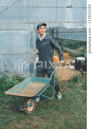 agricultureh, monocycle, wheelbarrow 113018165