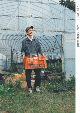 greenhouse, gents, male 113018169