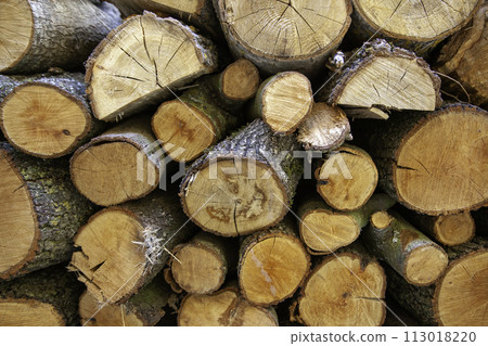 Detail of pieces of wood to burn, heating in winter 113018220
