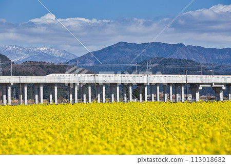 Hokuriku Shinkansen and Nanohana 113018682