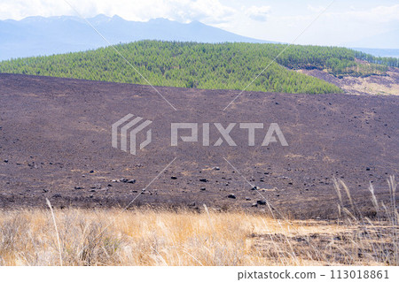 [Disaster image] Remains of wildfire in Kirigamine Highlands [Nagano Prefecture] 113018861