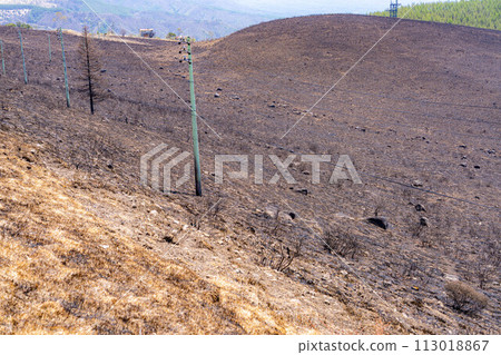 [災難圖像] Kirigamine Highlands [長野縣]的野火遺跡 113018867