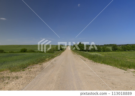 a country road in the countryside through fields with plants a country road in the countryside through fields with plants 113018889