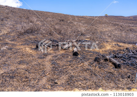 [Disaster image] Remains of wildfire in Kirigamine Highlands [Nagano Prefecture] 113018903