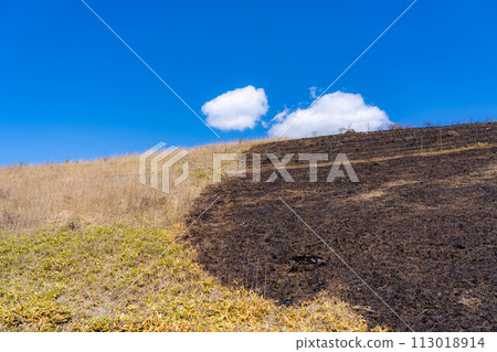 [Disaster image] Remains of wildfire in Kirigamine Highlands [Nagano Prefecture] 113018914