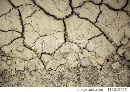 Detail of dry land due to climate change, destruction of the environment 113019015