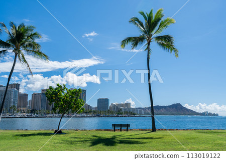 View of Diamond Head in the distance. 113019122