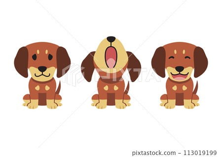 Set of vector cartoon character cute dachshund dog Set of vector cartoon character cute dachshund dog 113019199