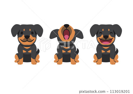 Set of vector cartoon character cute rottweiler dog 113019201