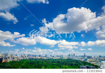 Tokyo cityscape blue sky and dancing clouds with sunlight filtering through the trees Tokyo cityscape blue sky and dancing clouds with sunlight filtering through the trees 113019842