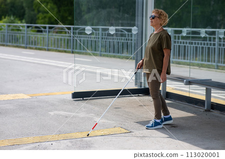 An elderly blind woman is waiting for transport at a bus stop. 113020001