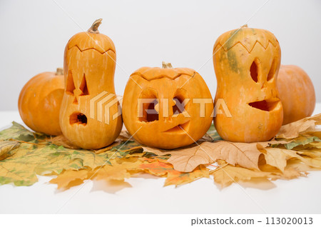 Group of jack-o-lantern on maple leaves. Halloween decoration on a white background. 113020013