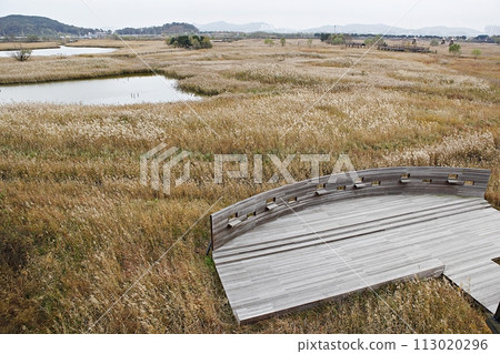 reed, 113020296