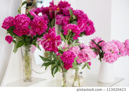 Pink peonies in vases against a white wall. 113020423