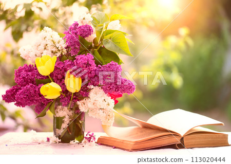 Spring or summer background. A bouquet of lilacs and an old book lit by sunlight. Beautiful flowers on a green background. Spring or summer background. A bouquet of lilacs and an old book lit by sunlight. Beautiful flowers on a green background. 113020444
