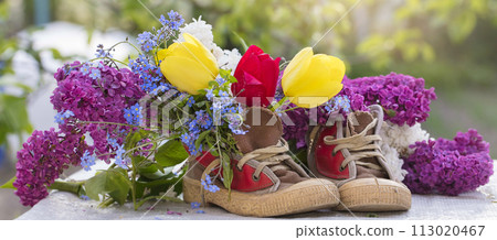 Banner of a bouquet of summer flowers in old shoes. Lilac tulips grow out of sneakers. Spring and summer floral background. Banner of a bouquet of summer flowers in old shoes. Lilac tulips grow out of sneakers. Spring and summer floral background. 113020467