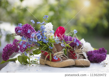 A bouquet of summer flowers in old shoes. Lilac tulips grow out of sneakers. Spring and summer floral background. 113020472