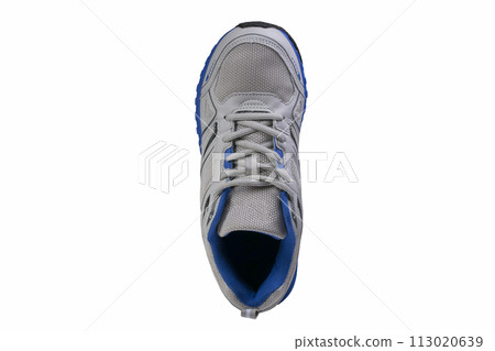 Gray sneaker with blue accents isolated. Sports shoes on a white background. 113020639