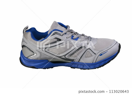Gray sneaker with blue accents isolated. Sports shoes on a white background. 113020643