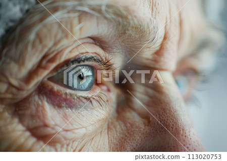AI-generated content. Macro shot of blue eyes of senior woman with deep aged wrinkles copy space generated AI image 113020753