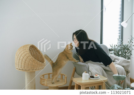 pet care concept with owner during read book and take coffee break and play with cat in livingroom pet care concept with owner during read book and take coffee break and play with cat in livingroom 113021071