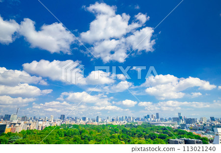 Tokyo cityscape blue sky and dancing clouds with sunlight filtering through the trees Tokyo cityscape blue sky and dancing clouds with sunlight filtering through the trees 113021240