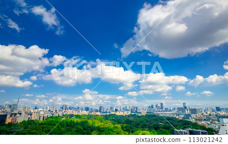 東京城市景觀藍天與舞動的雲彩，陽光透過樹木 113021242