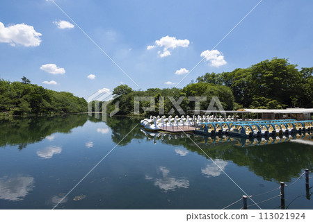 井之頭公園 113021924