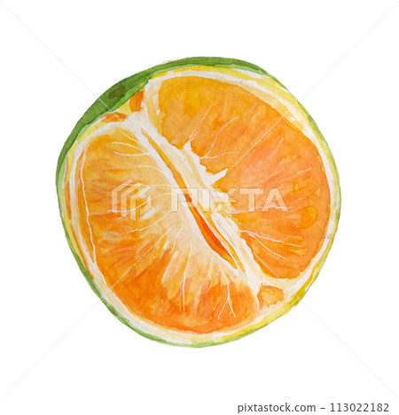 Orange fruit watercolor isolated on white 113022182