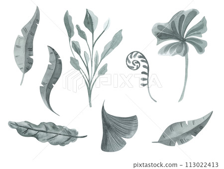 Tropical plants of the ancient world of dinosaurs, leaves, grass, bushes Watercolor set. hand drawn isolated on white background 113022413