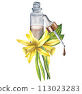 Vanilla flower with bottle and essential oil. Watercolor hand drawn illustration of yellow orchid flower and vanilla oil bottle on white isolated background. Sketch for design logo and icon. 113023283
