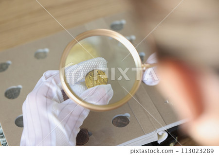 Gloved specialist examining gold coin with magnifying glass. 113023289