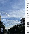 電線桿，藍天，情感，雲，晚上，自然，風景 113023614