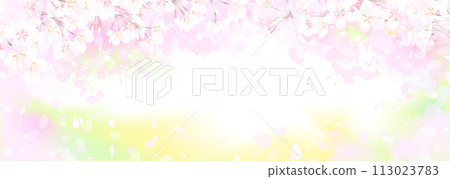 Cherry blossoms and rape fields 113023783