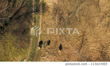 Men Dressed As US American Soldiers Of USA Infantry Of World War II sneaking around In spring Autumn Day. Soldiers prepare mortar for battle In dry grass. Aerial view elevated shot 113023905