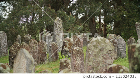 Old ancient Jewish cemetery in summer spring day. green grass and many ancient stones. Headstone Headstones Tombstones jewish grave 113024035