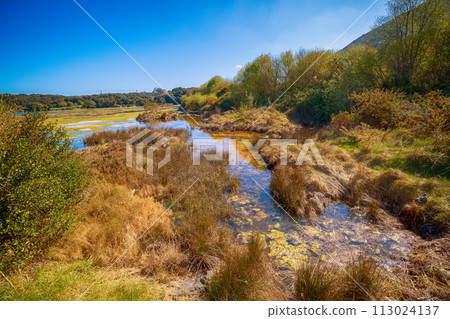 Nature park in spring. Natural resources Marisma de Joyel. Arnuero, Cantabria, Spain 113024137