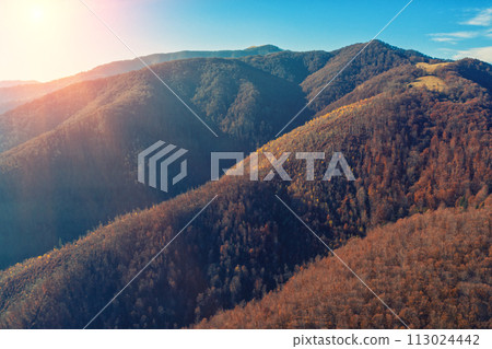 Aerial view of colorful slopes of mountains on an autumn sunny day. Beautiful nature landscape. Carpathian mountains. Ukraine 113024442