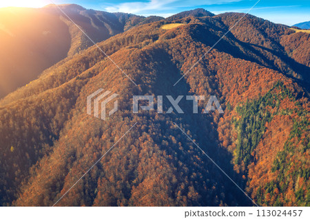 Aerial view of colorful slopes of mountains on an autumn sunny day. Beautiful nature landscape. Carpathian mountains. Ukraine 113024457