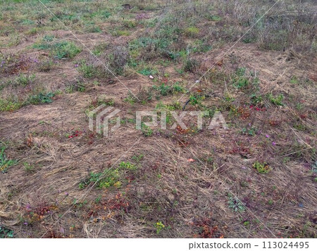 Planned housing construction site after spring rains 113024495