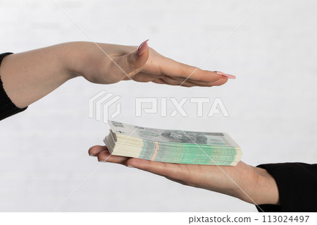 Two young female hands give a bundle of Polish banknotes and one hand gives them protection from above. Two young female hands give a bundle of Polish banknotes and one hand gives them protection from above. 113024497