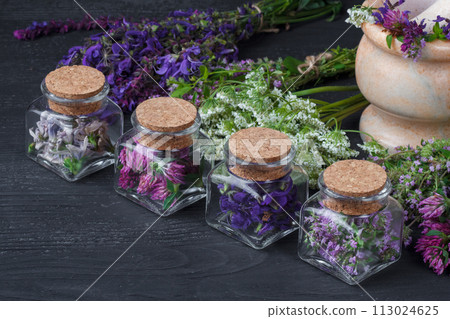 Set of healing herbs.Fresh thyme, sage, achillea, chicory and red clover herb in bottle. Alternative medicine concept on black wooden table(selective focus). Set of healing herbs.Fresh thyme, sage, achillea, chicory and red clover herb in bottle. Alternative medicine concept on black wooden table(selective focus). 113024625