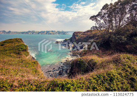 Seascape with the rocky shore in spring. View of Ria de Ribadeo del Eo bay. Puente de Los Santos bridge on the horizon. Ribadeo, Spain 113024775