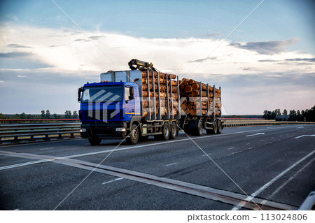 A blue modern timber truck transports round forest logs in the evening against a blue sky. Logging concept, wood import and export, business, industry. Copy space for text A blue modern timber truck transports round forest logs in the evening against a blue sky. Logging concept, wood import and export, business, industry. Copy space for text 113024806