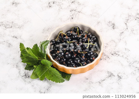 Juicy black currant berries in the bowl Juicy black currant berries in the bowl 113024956