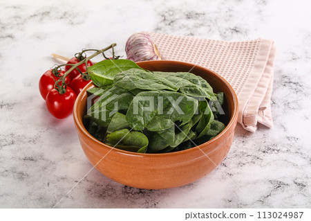 Green spinach leaves in the bowl Green spinach leaves in the bowl 113024987