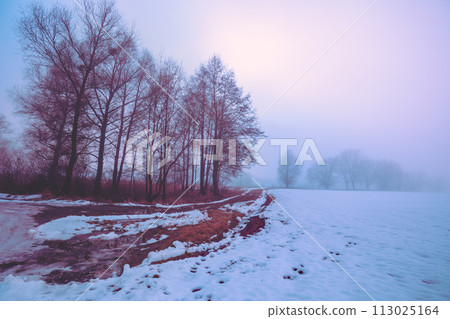 Rural winter landscape. Countryside on a winter foggy day. The field is covered with the first snow Rural winter landscape. Countryside on a winter foggy day. The field is covered with the first snow 113025164